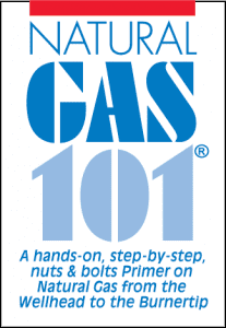 Nat Gas 101 Logo